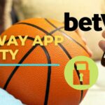 Safety of Betway application