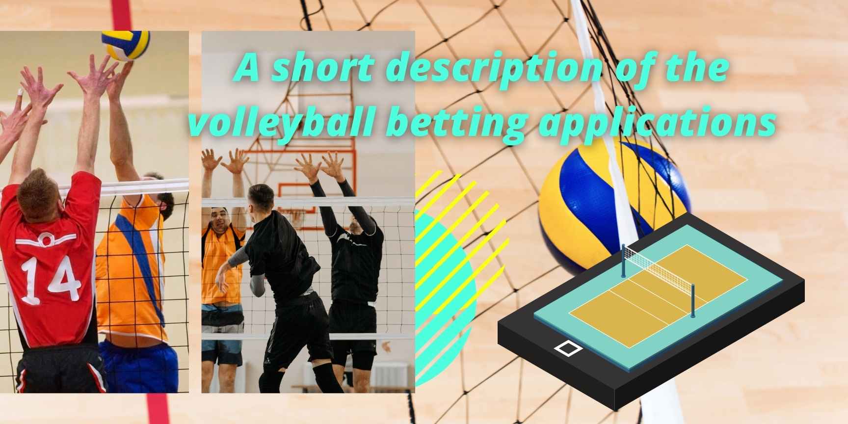 volleyball betting